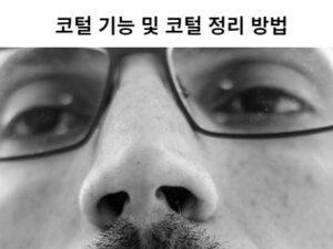 Read more about the article 코털 기능 및 코털 정리 방법