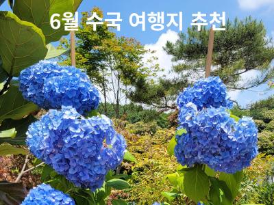 Read more about the article 6월에 수국 여행지 추천