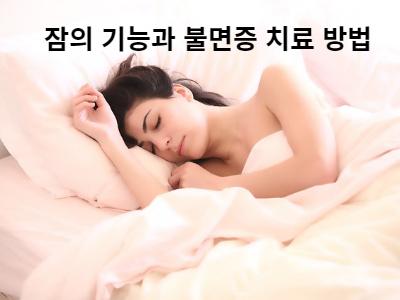 Read more about the article 잠의 기능과 불면증 치료 방법