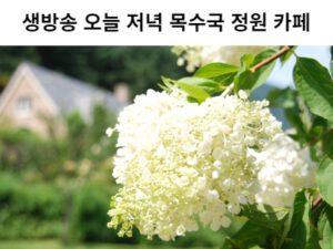 Read more about the article 생방송 오늘 저녁 목수국 정원 카페
