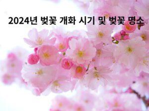 Read more about the article 2024년 벚꽃 개화 시기 및 벚꽃 명소