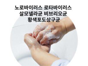 Read more about the article 노로바이러스 로타바이러스 살모넬라균 비브리오균 황색포도상구균