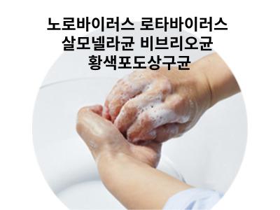 Read more about the article 노로바이러스 로타바이러스 살모넬라균 비브리오균 황색포도상구균