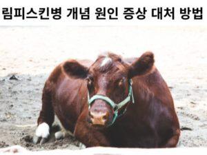 Read more about the article 림피스킨병 개념 원인 증상 대처 방법